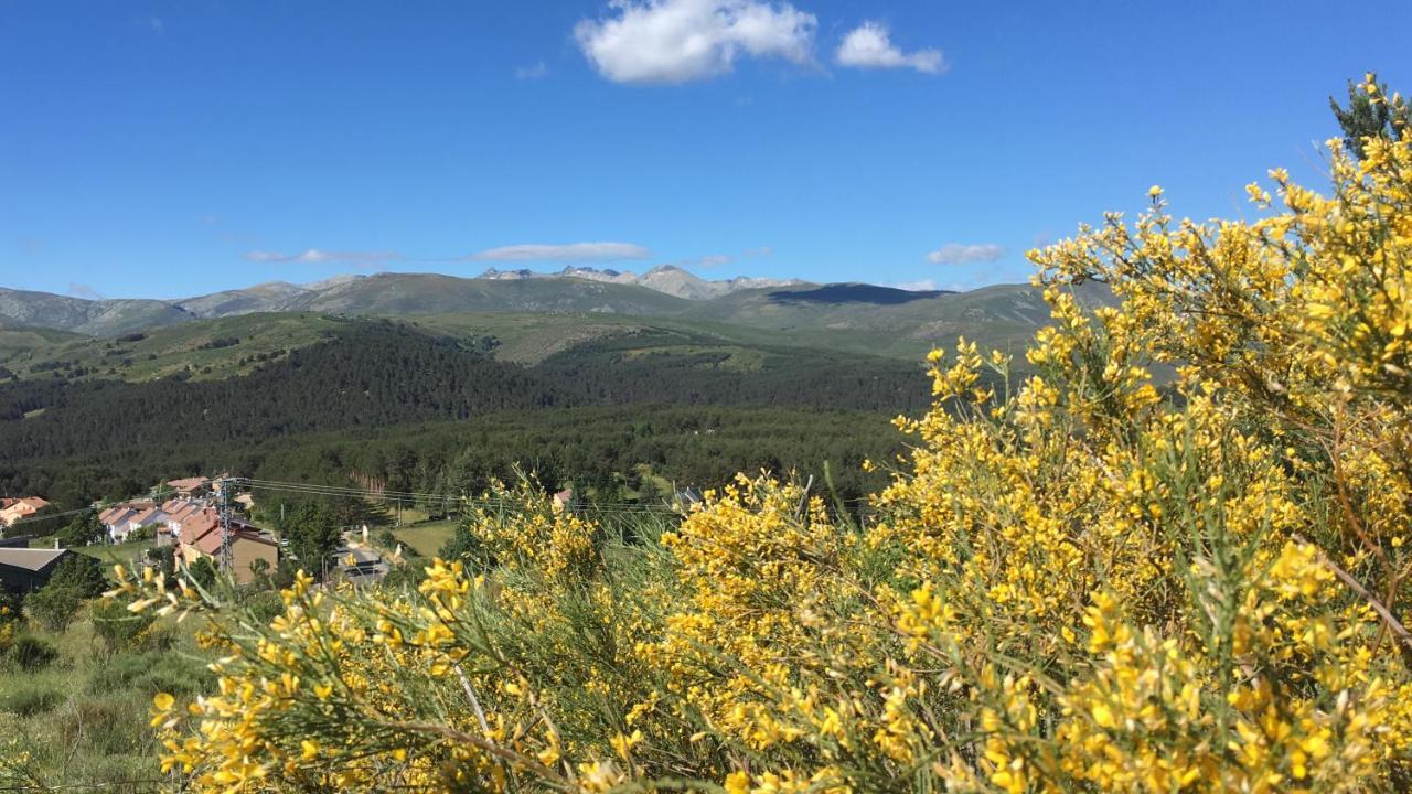 Cara Norte De Gredos Hoyos del Espino Kültér fotó