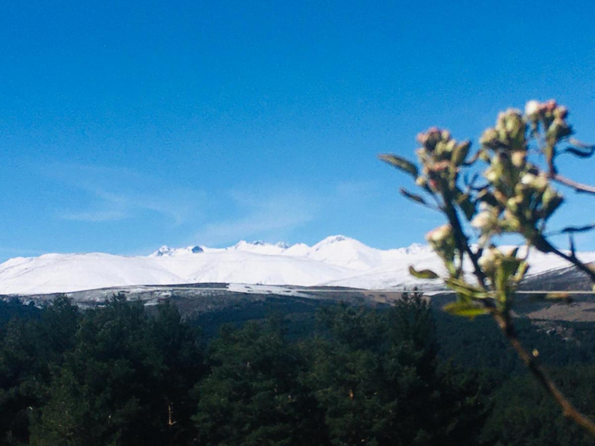 Cara Norte De Gredos Hoyos del Espino Kültér fotó